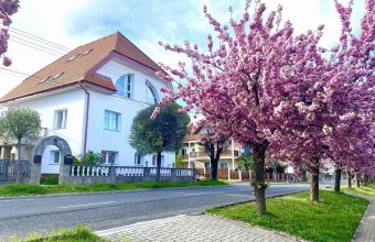 Amadeus Villa Hévíz