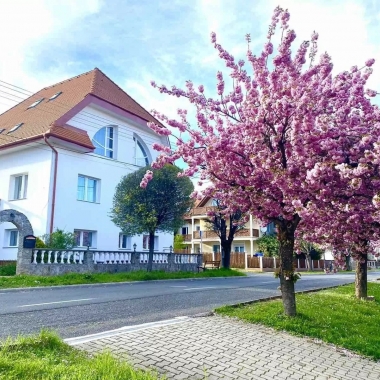 Amadeus Villa