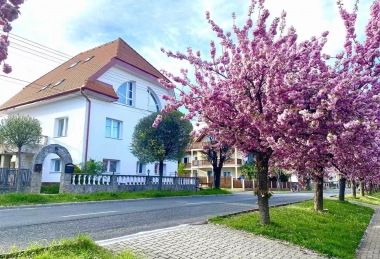 Online ajánlat reggelivel 2 éjszakától Amadeus Villa