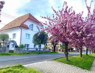 Online ajánlat reggelivel 2 éjszakától